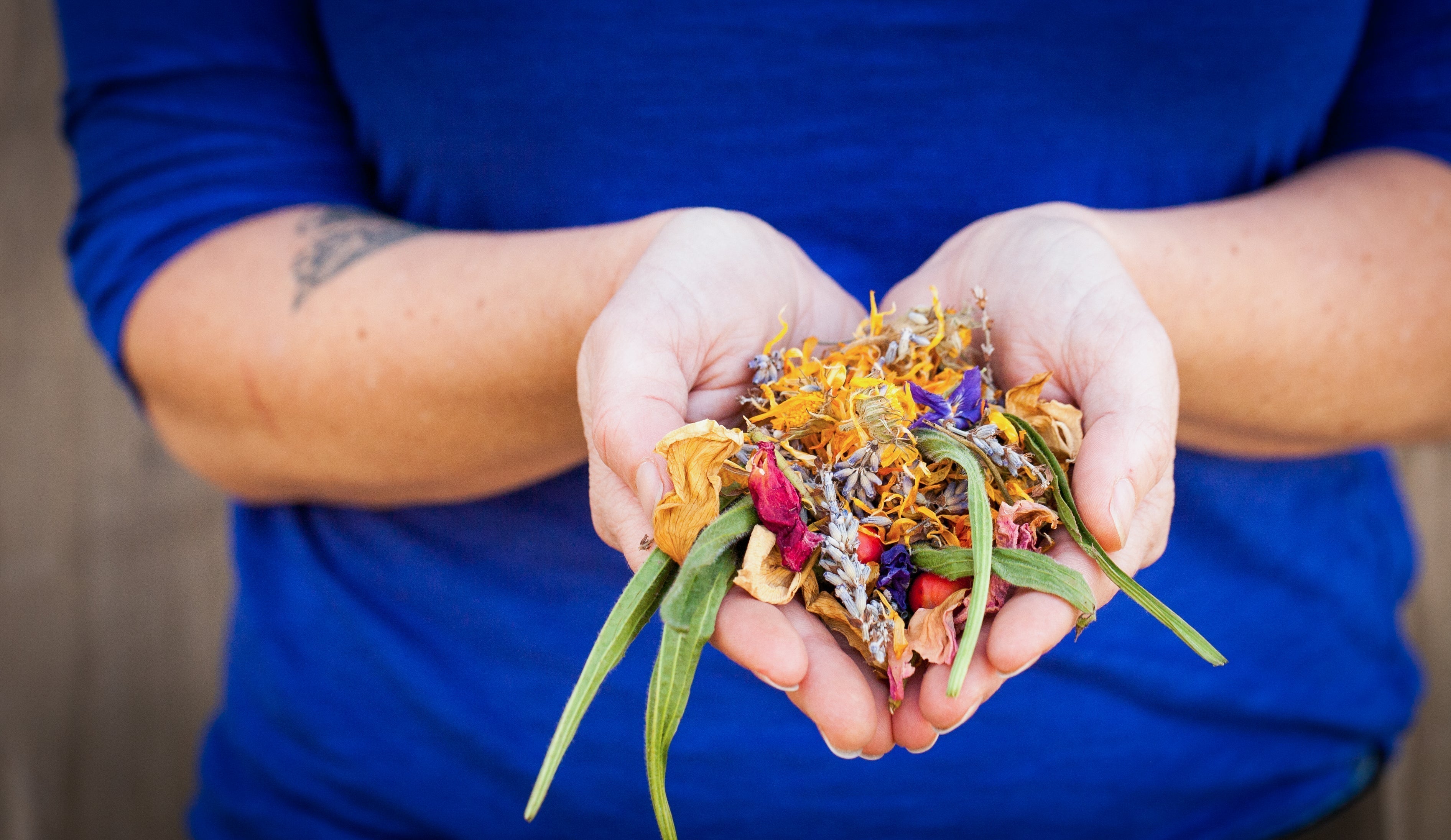 Ohana Organics herbs held in hands