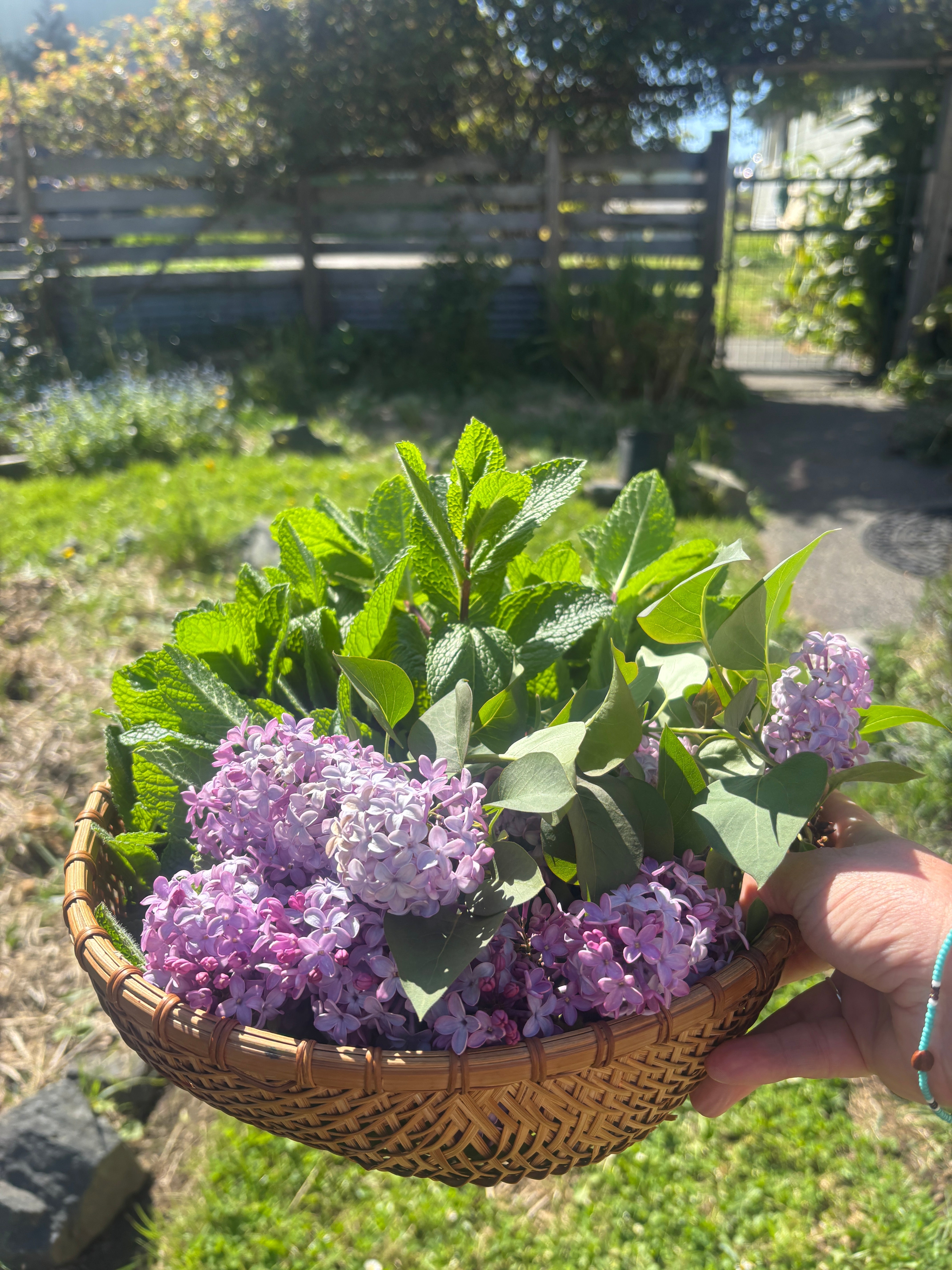 Rooted in Sustainability – Our Garden to Skin Promise