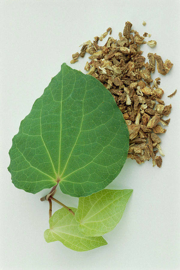 Ingredient Spotlight- Kava Kava Root