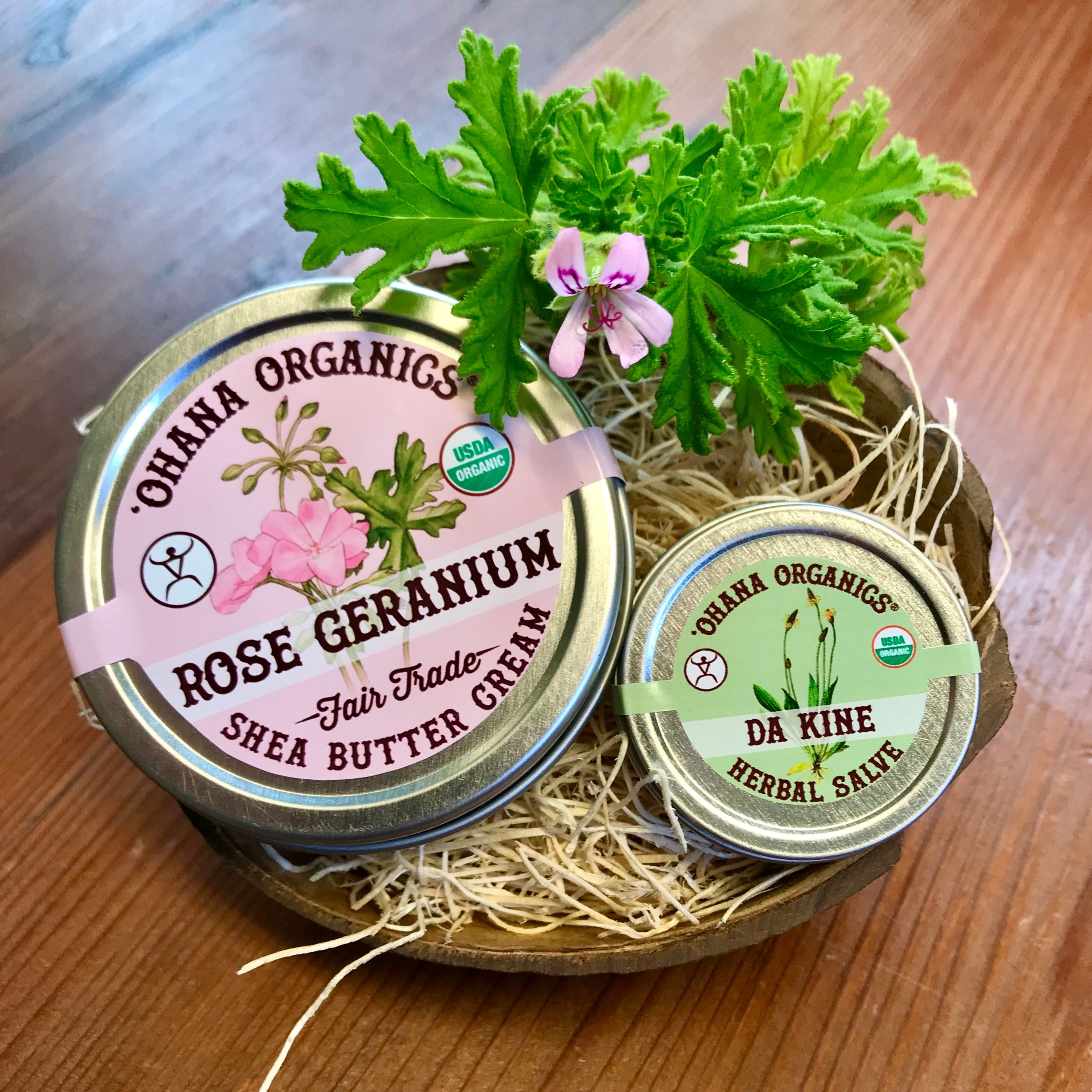 Coconut gift set with shea butter cream and salve