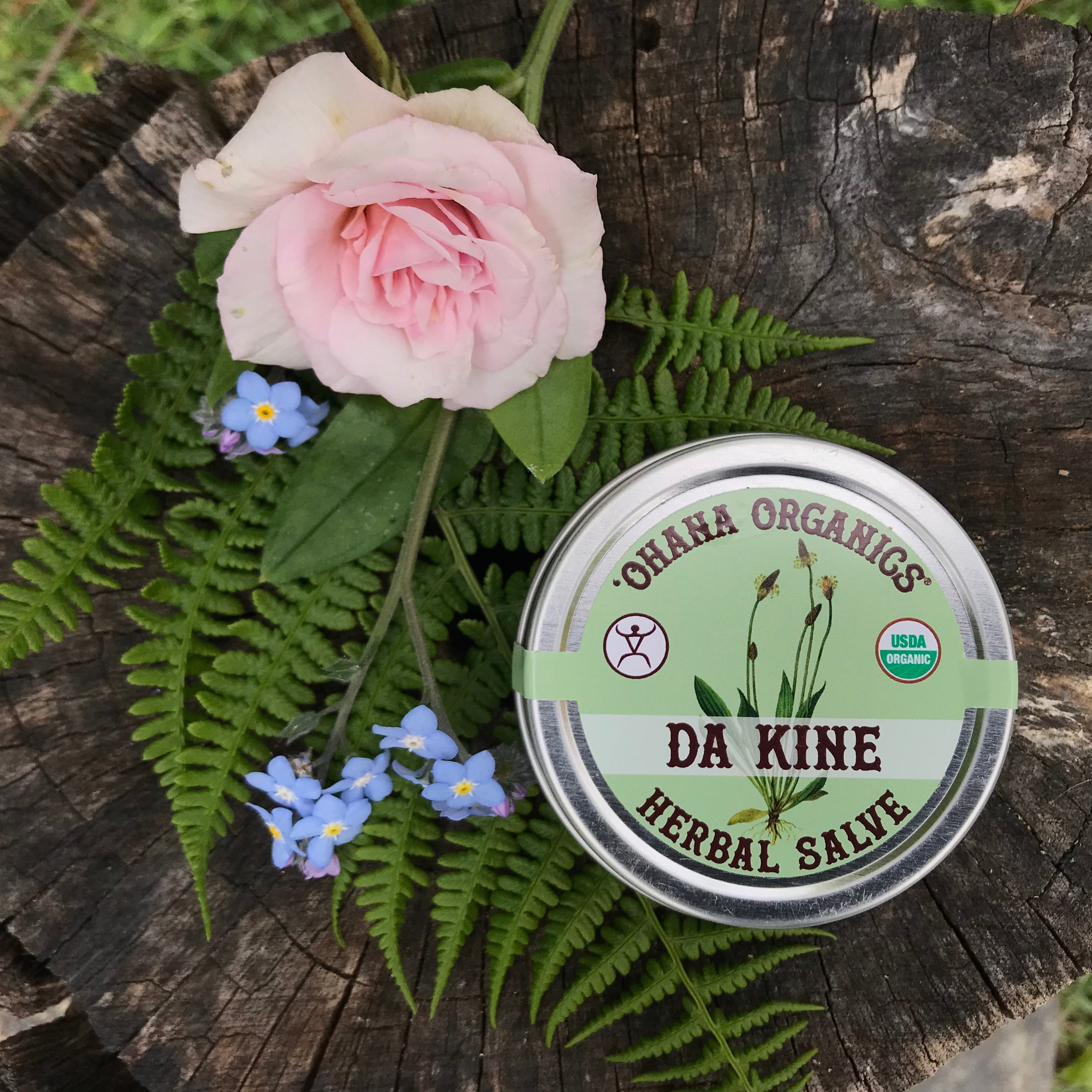 "Da Kine" Organic Herbal Salve - Wholesale