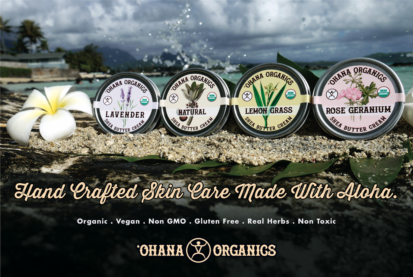 Organic Shea Butter- 2oz Tins