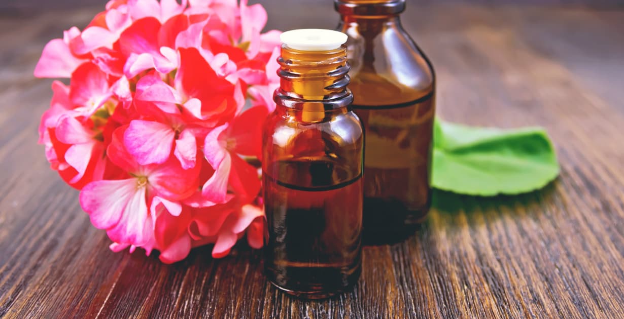 Ingredient Spotlight- Rose Geranium Essential Oil