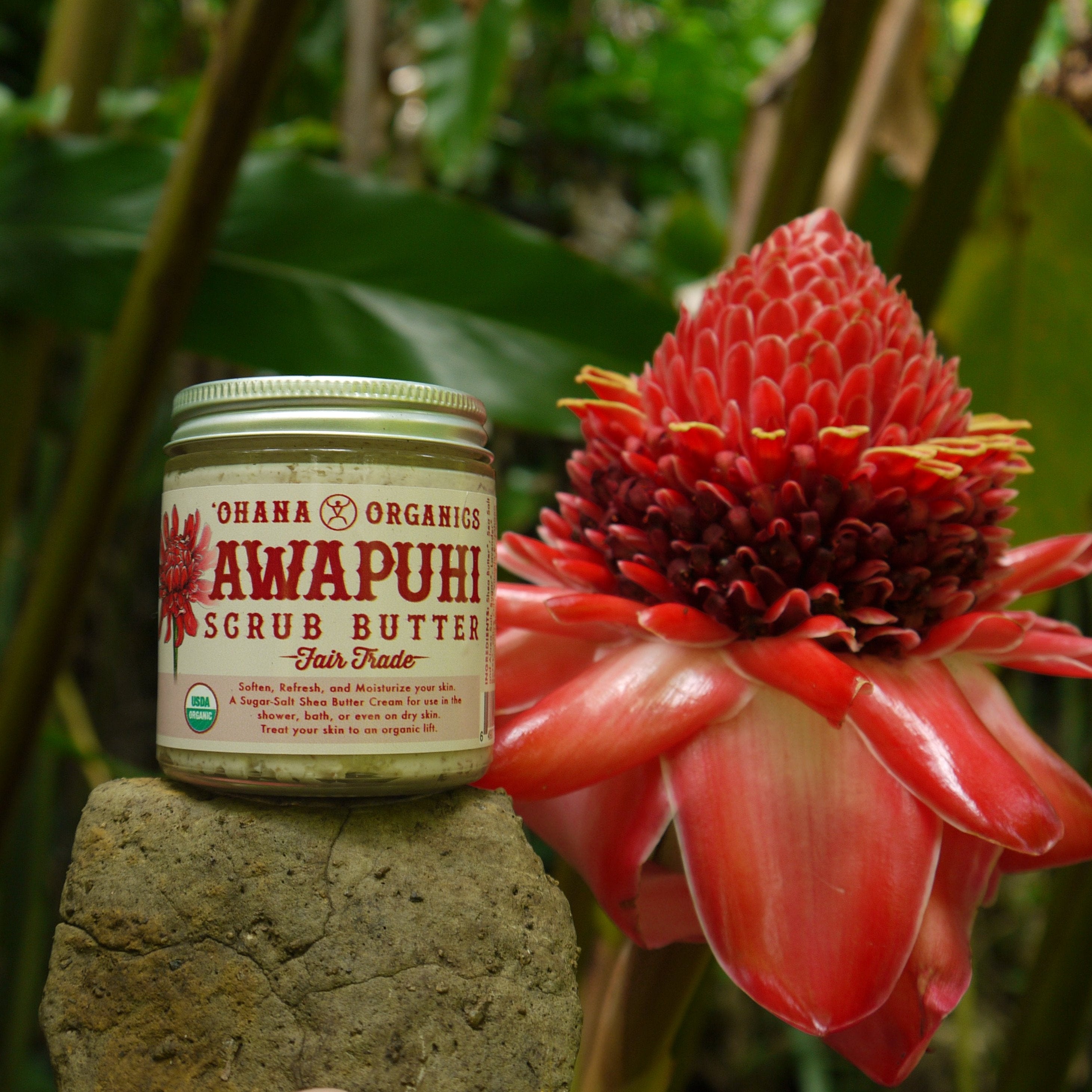 Awapuhi Scrub Butter — Fall Renewal from Garden to Skin