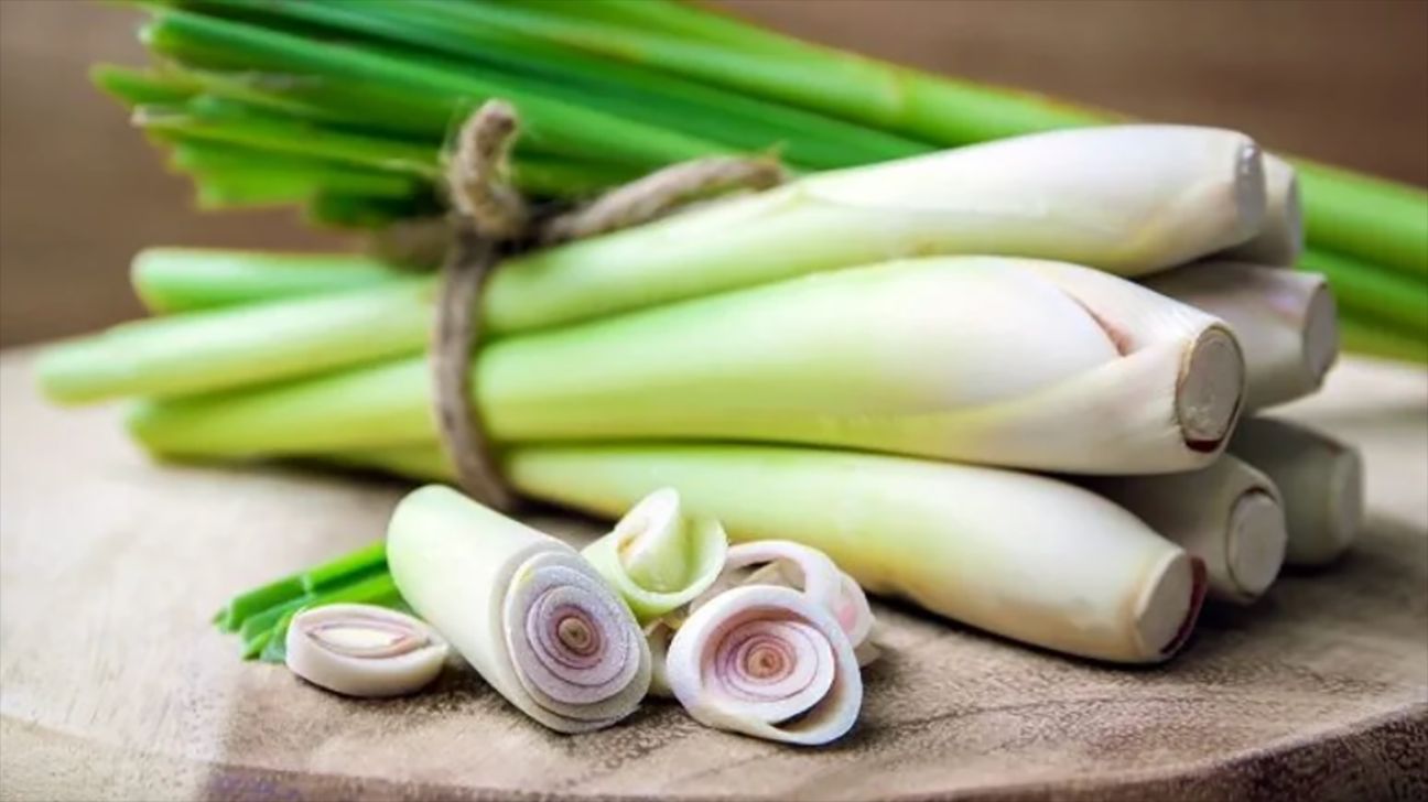 Ingredient Spotlight- Lemongrass Essential Oil