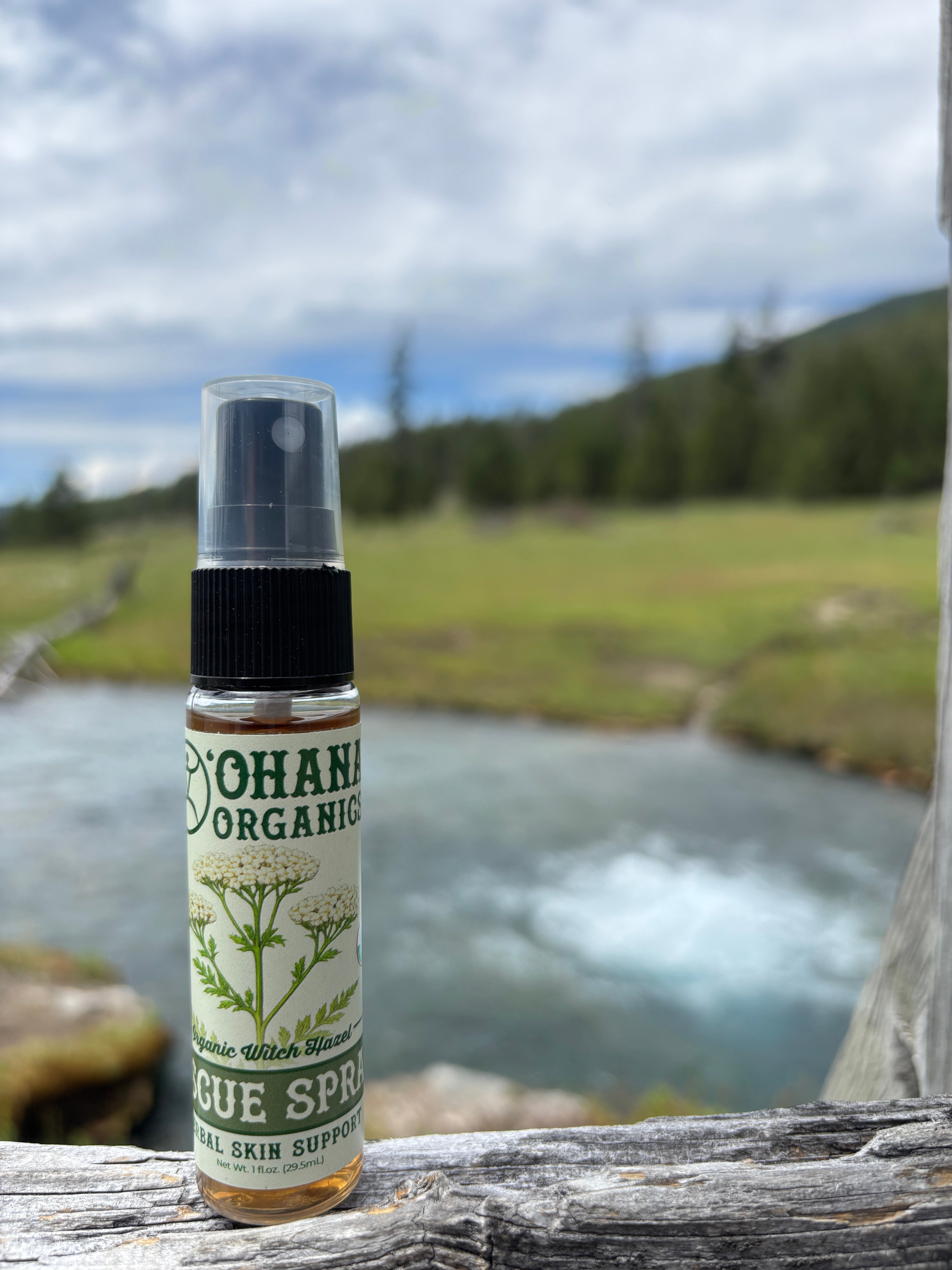 Our Favorite Botanical First Aid Companion