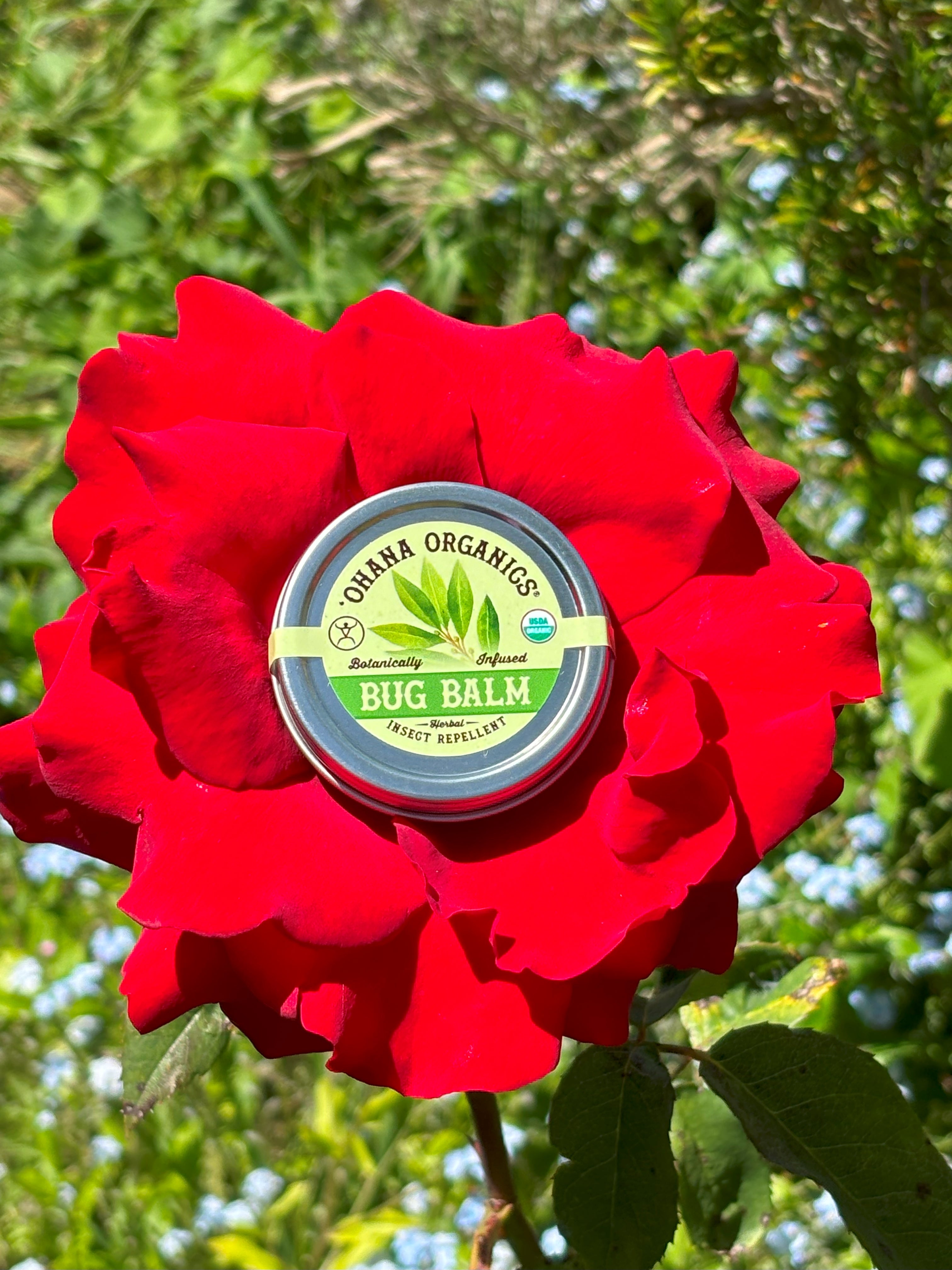 Featured Product- Bug Balm