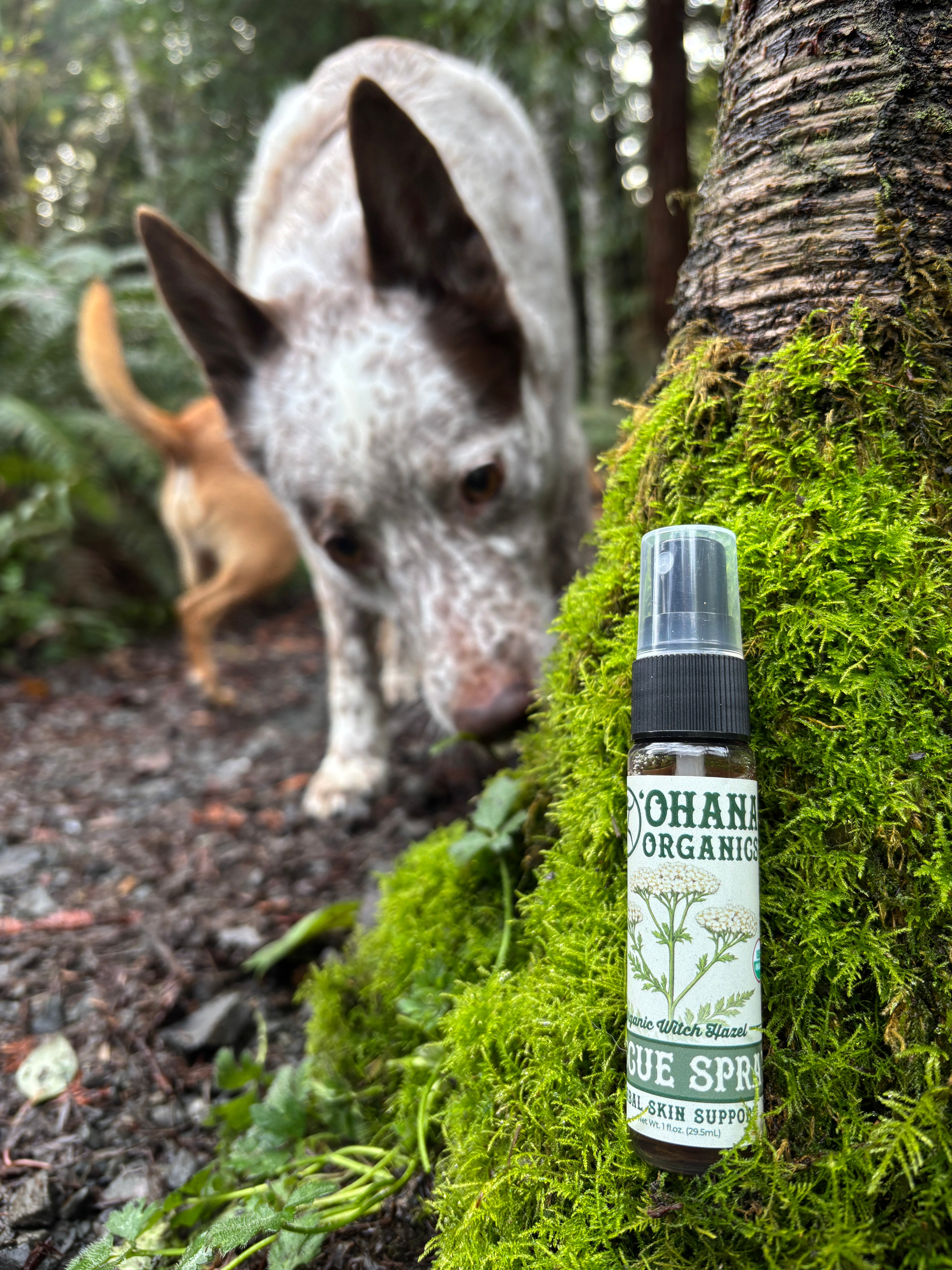 Organic Rescue Spray