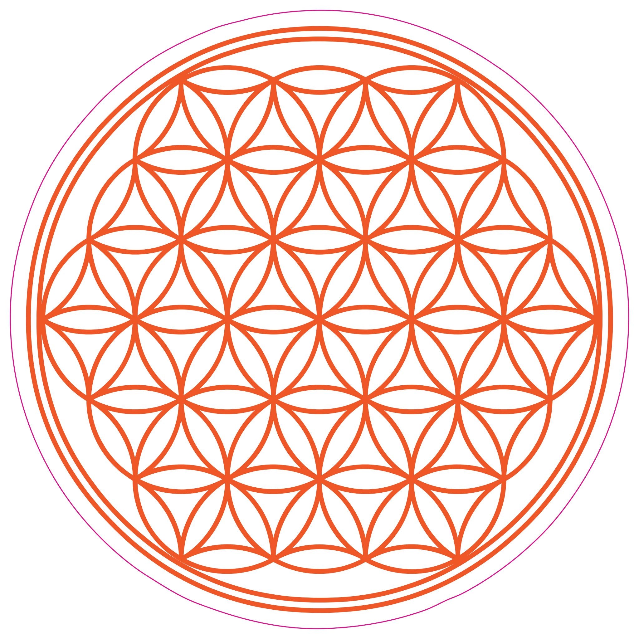 Flower of Life Sticker