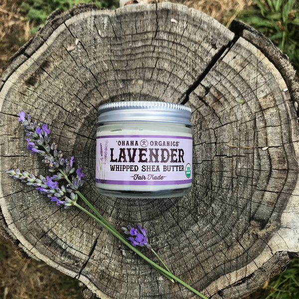 Organic whipped Shea Butter Lavender