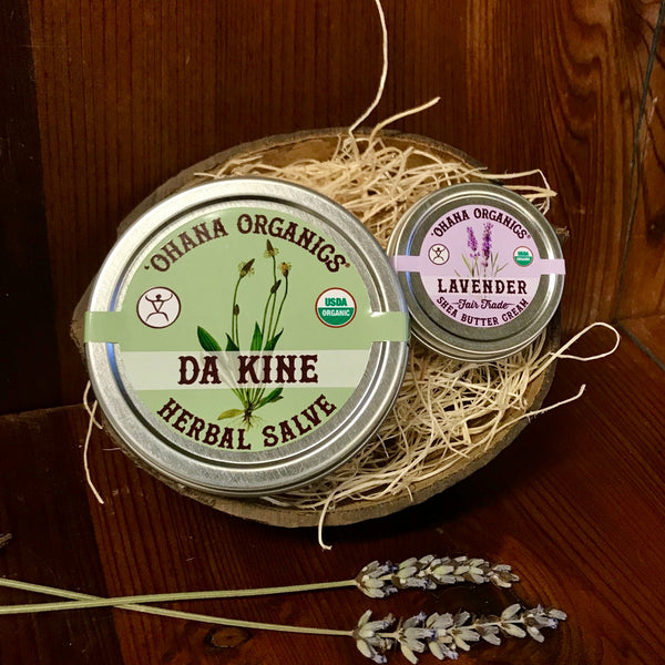 Gift coconut with Salve and shea butter