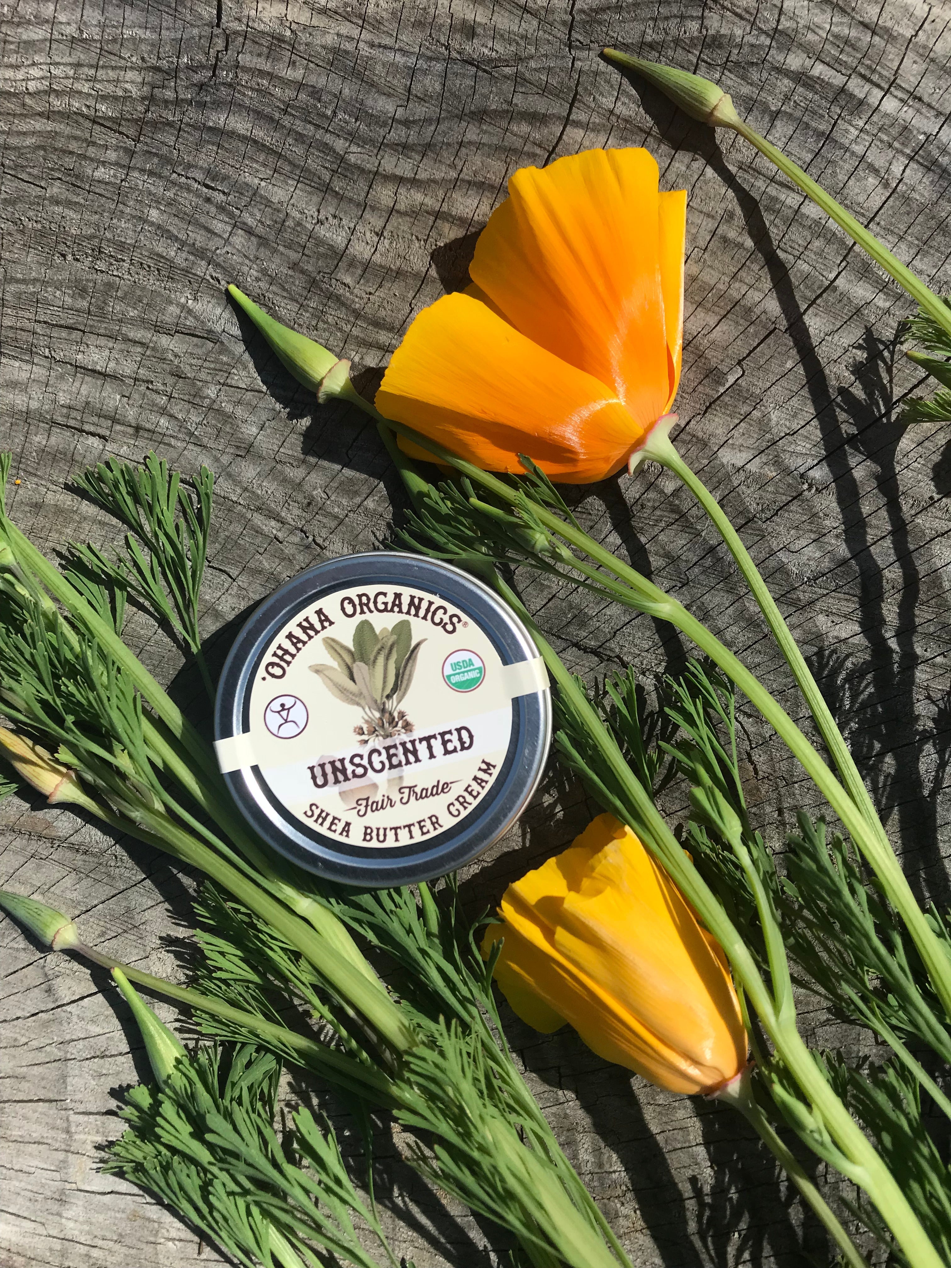 Shea Butter- 2oz Tins